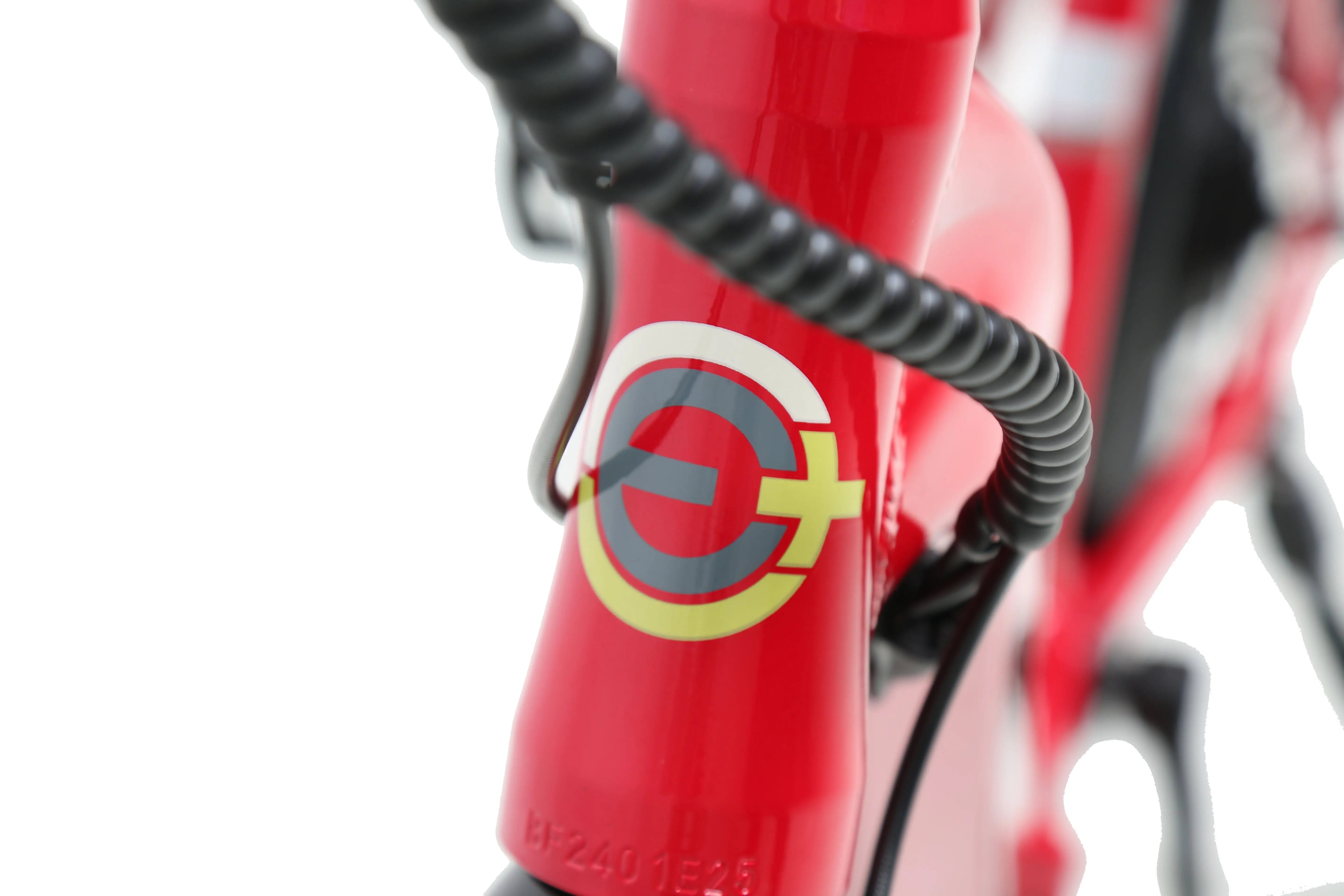 EPIK SWAN 2.0 Electric Folding Step Through E-Bike