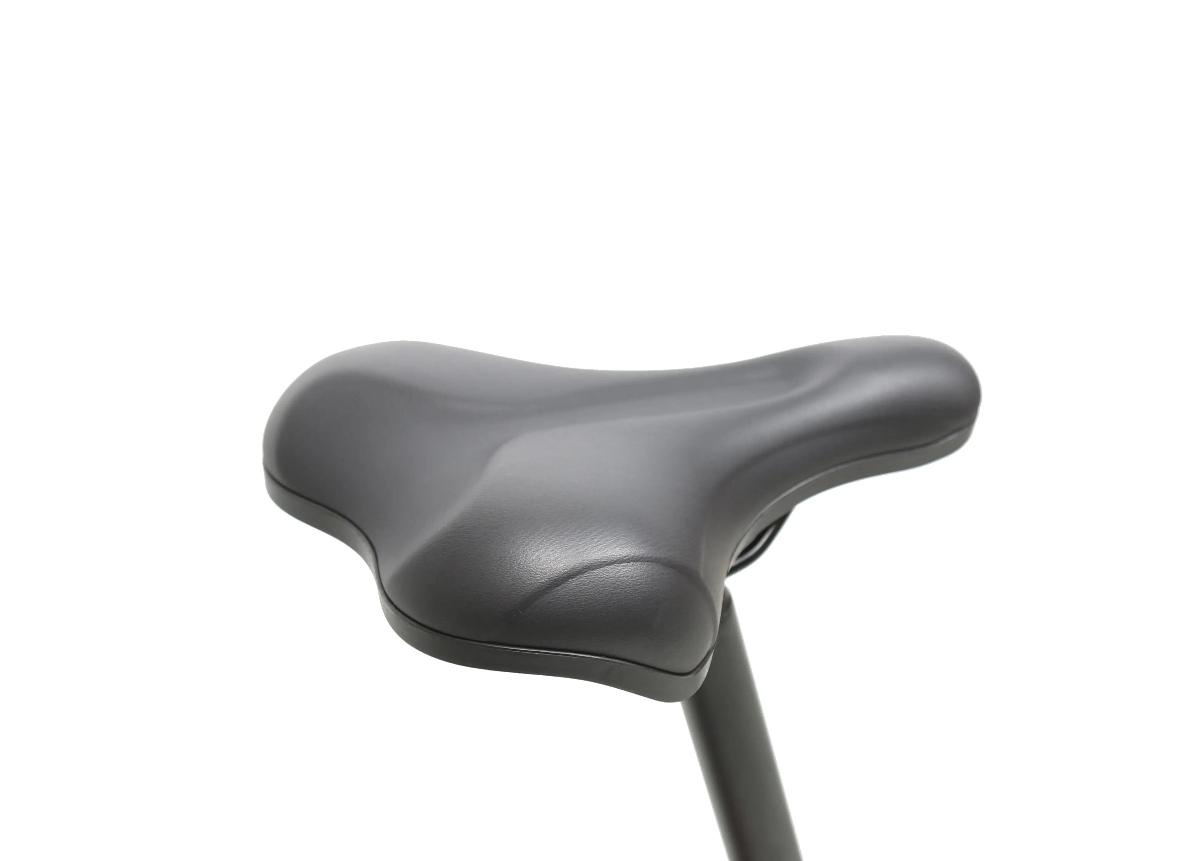 EPIK SWAN 2.0 Electric Folding Step Through E-Bike