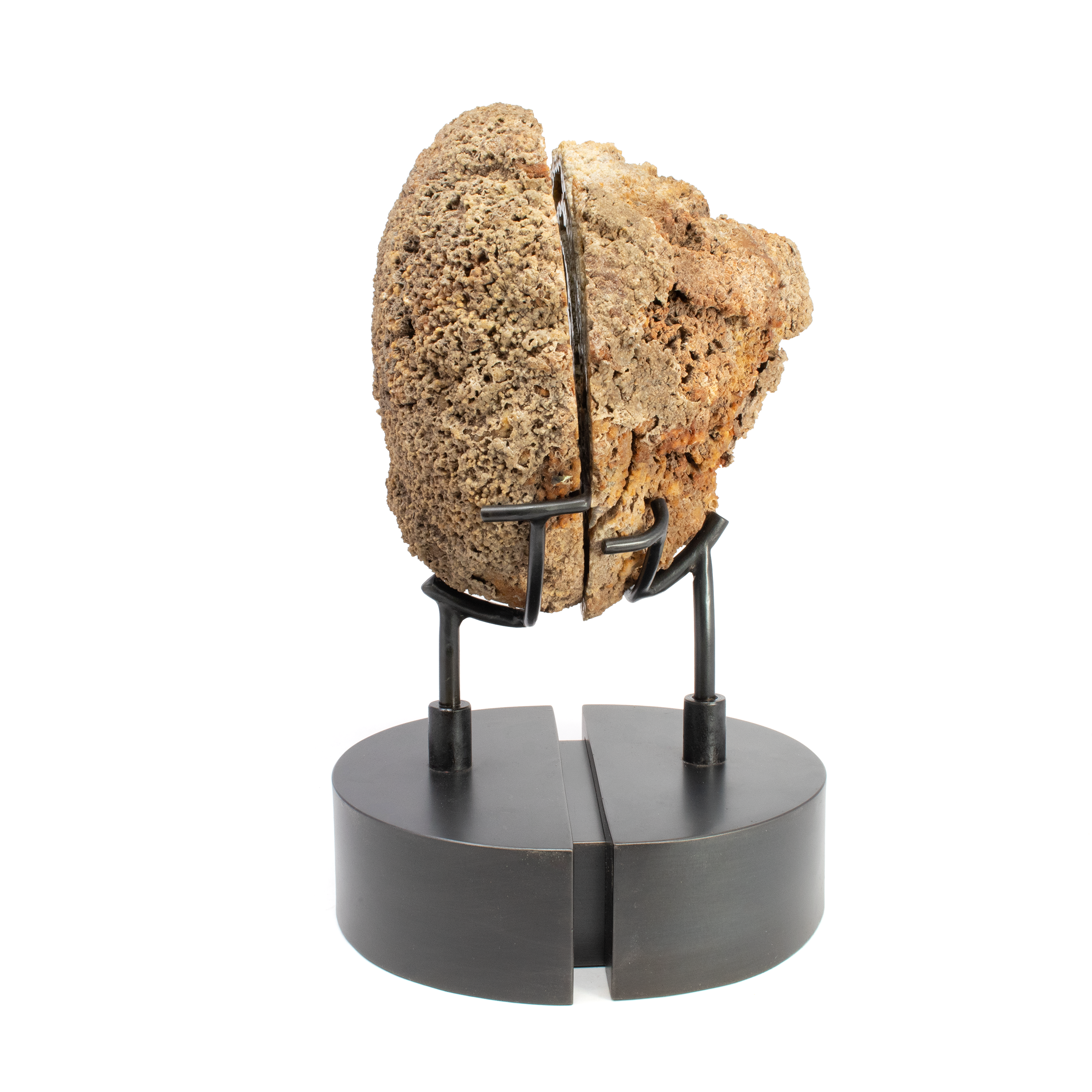 Agatized Fossilized Coral Head Pair In Custom Stand with Silde Open Design and Rotating Feature