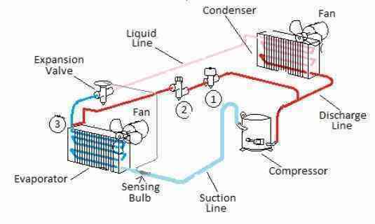 Antarctica WBC Electric