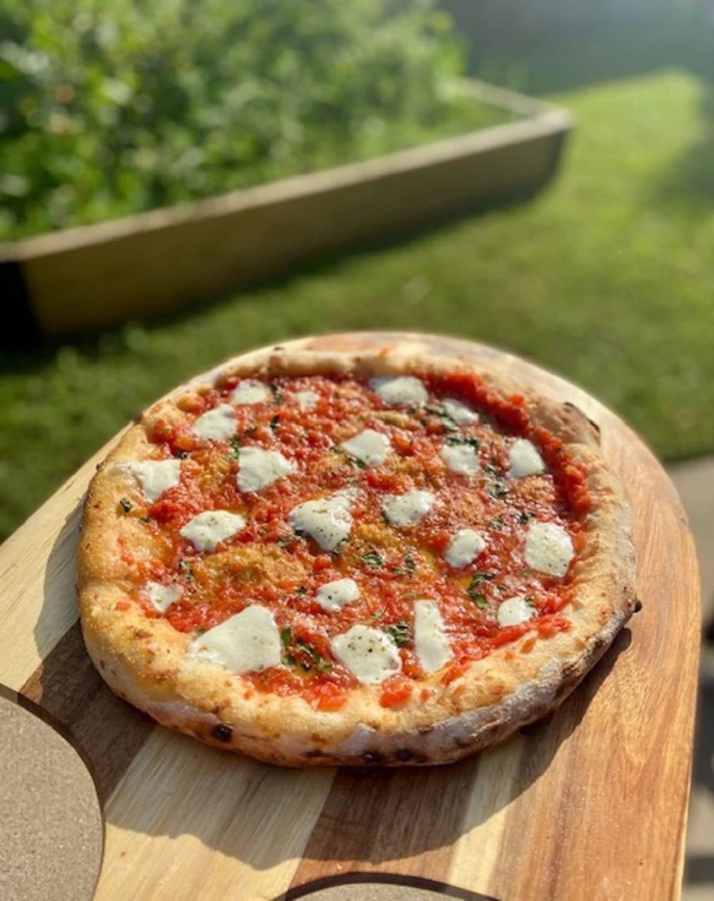 BUENA VENTURA "SIERRA" PREMIUM PIZZA OVEN
