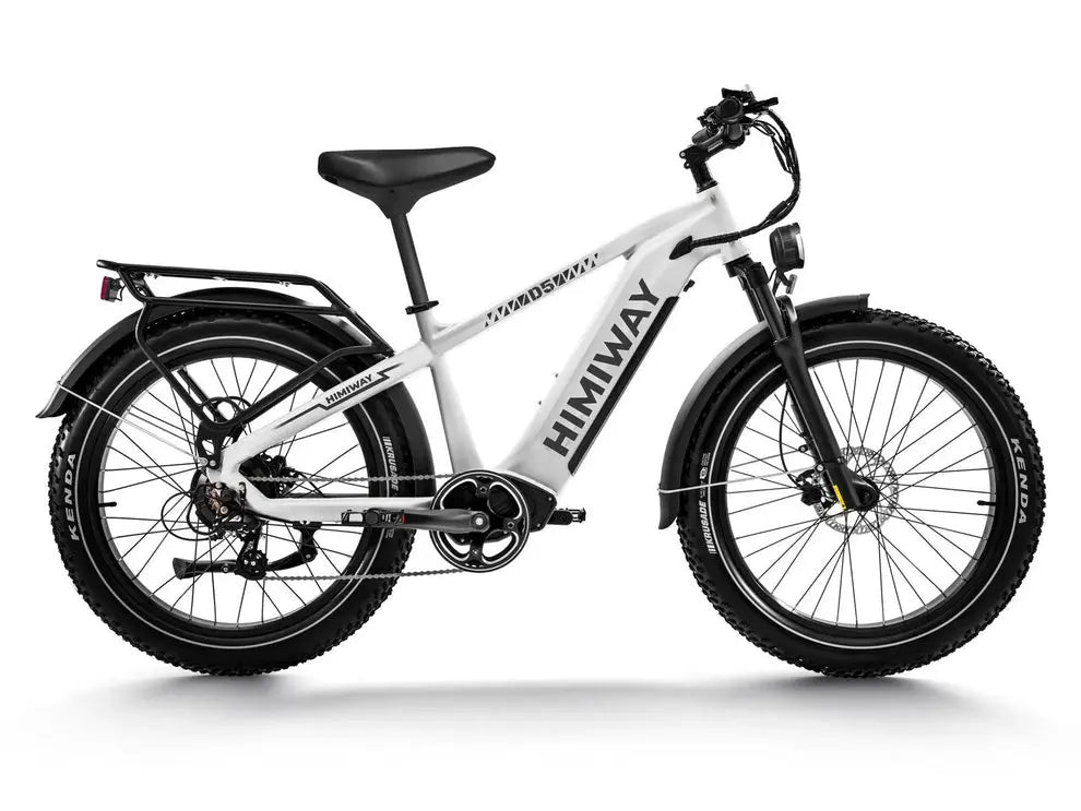 D5(Zebra) / All-terrain Electric Fat Bike