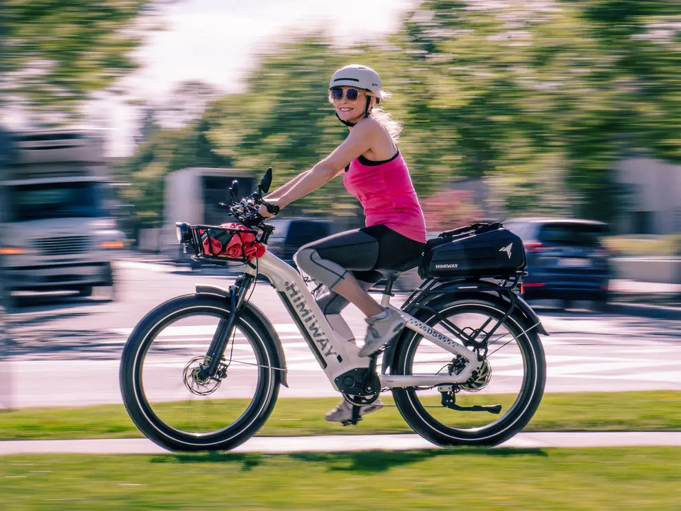 D5(Zebra) / All-terrain Electric Fat Bike