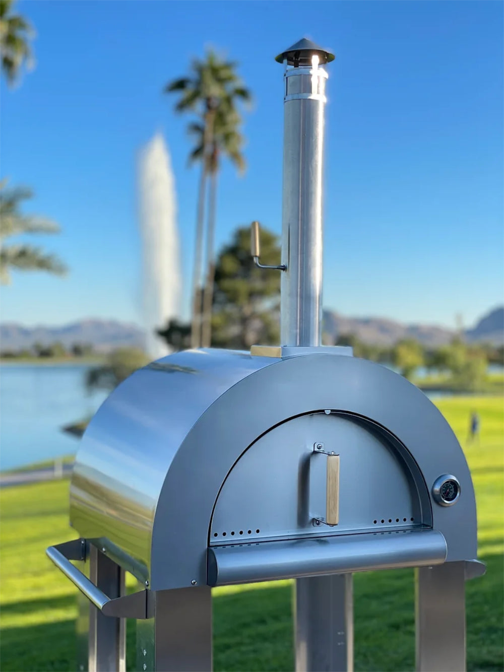 Pizza Oven & Stand
