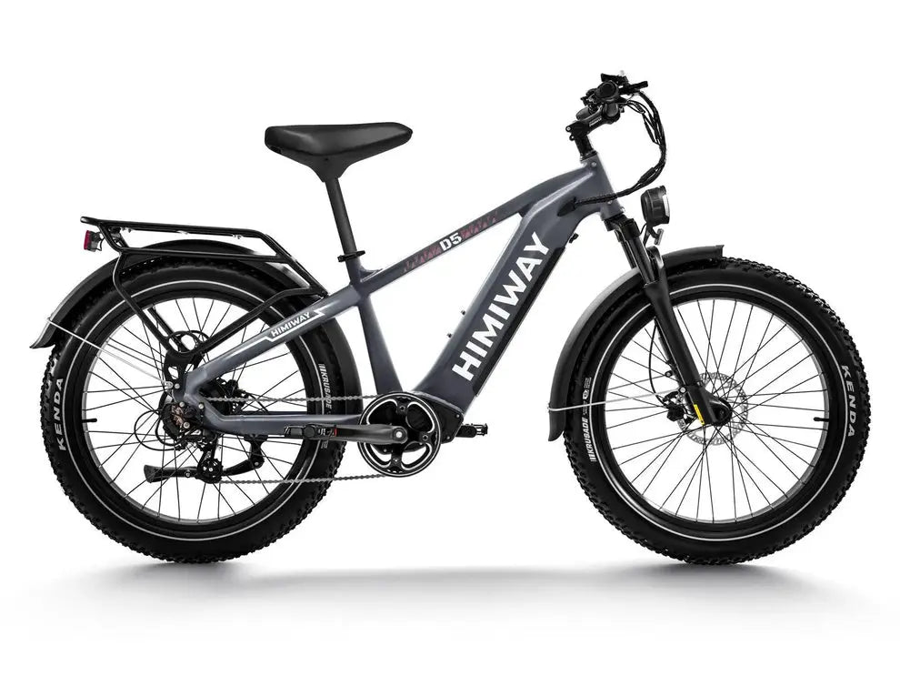 D5(Zebra) / All-terrain Electric Fat Bike
