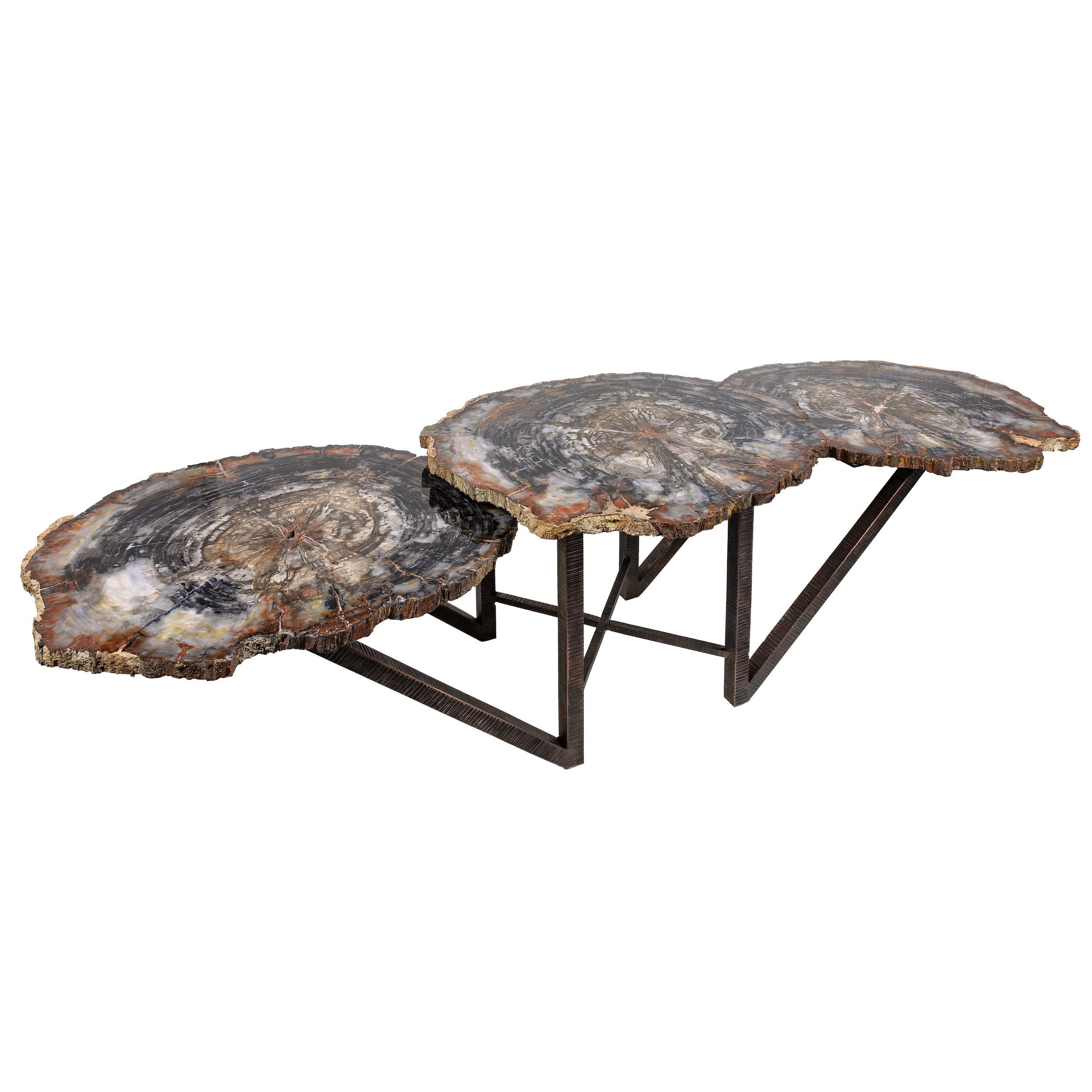 Arizona Petrified Wood Trio Slice Coffee Table with Hand Forged Base
