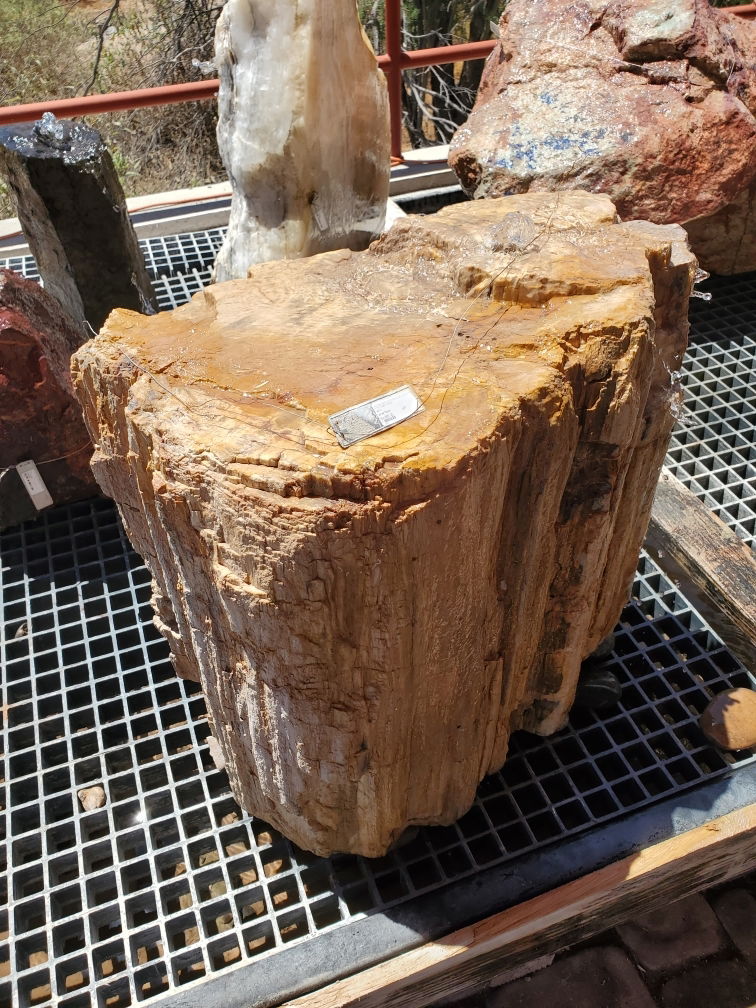 Arizona Petrified Wood Log Fountain