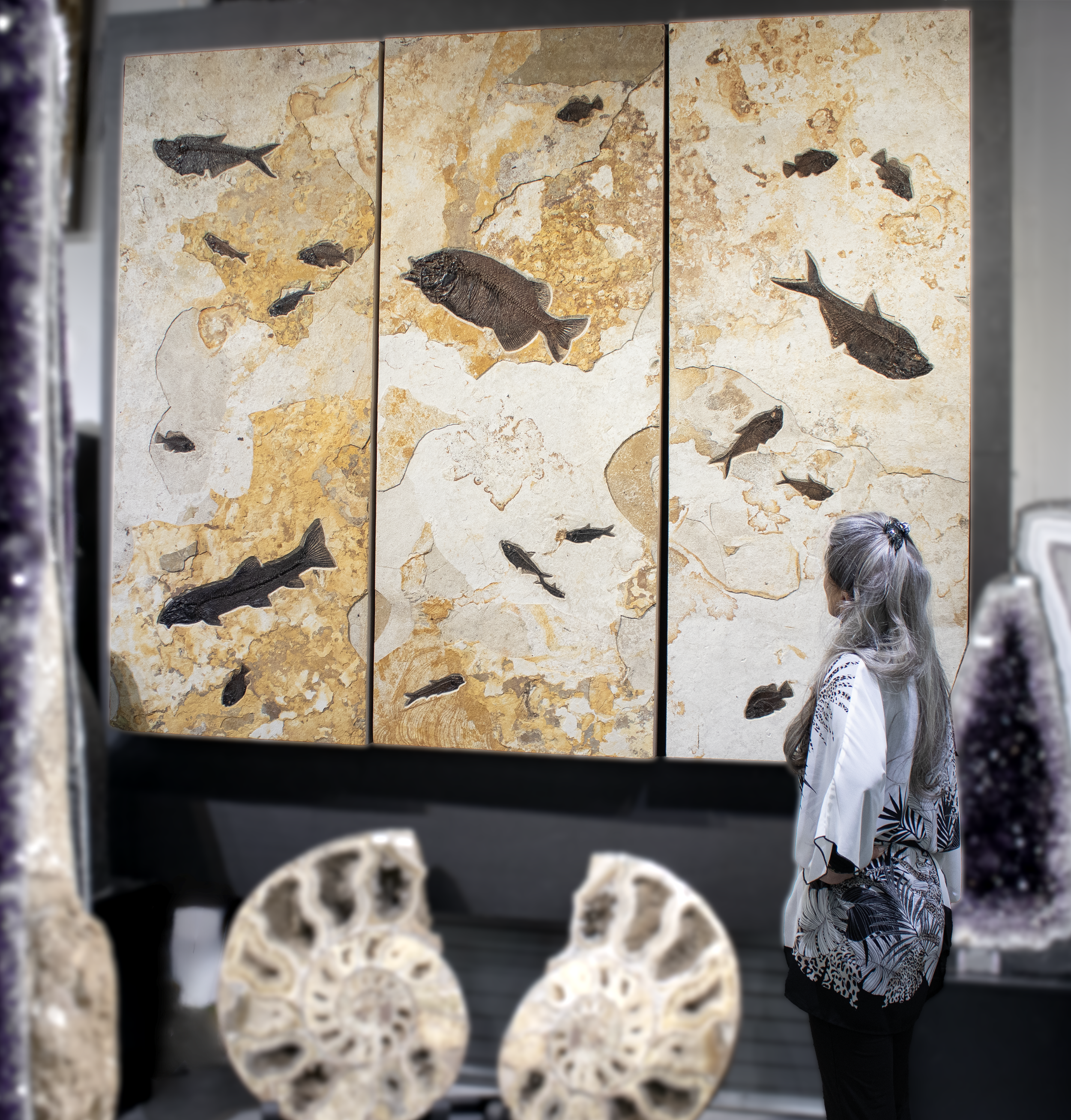 Wyoming Fish Fossil Triptych Wall Panel Trio within the Ash Limestone Layer