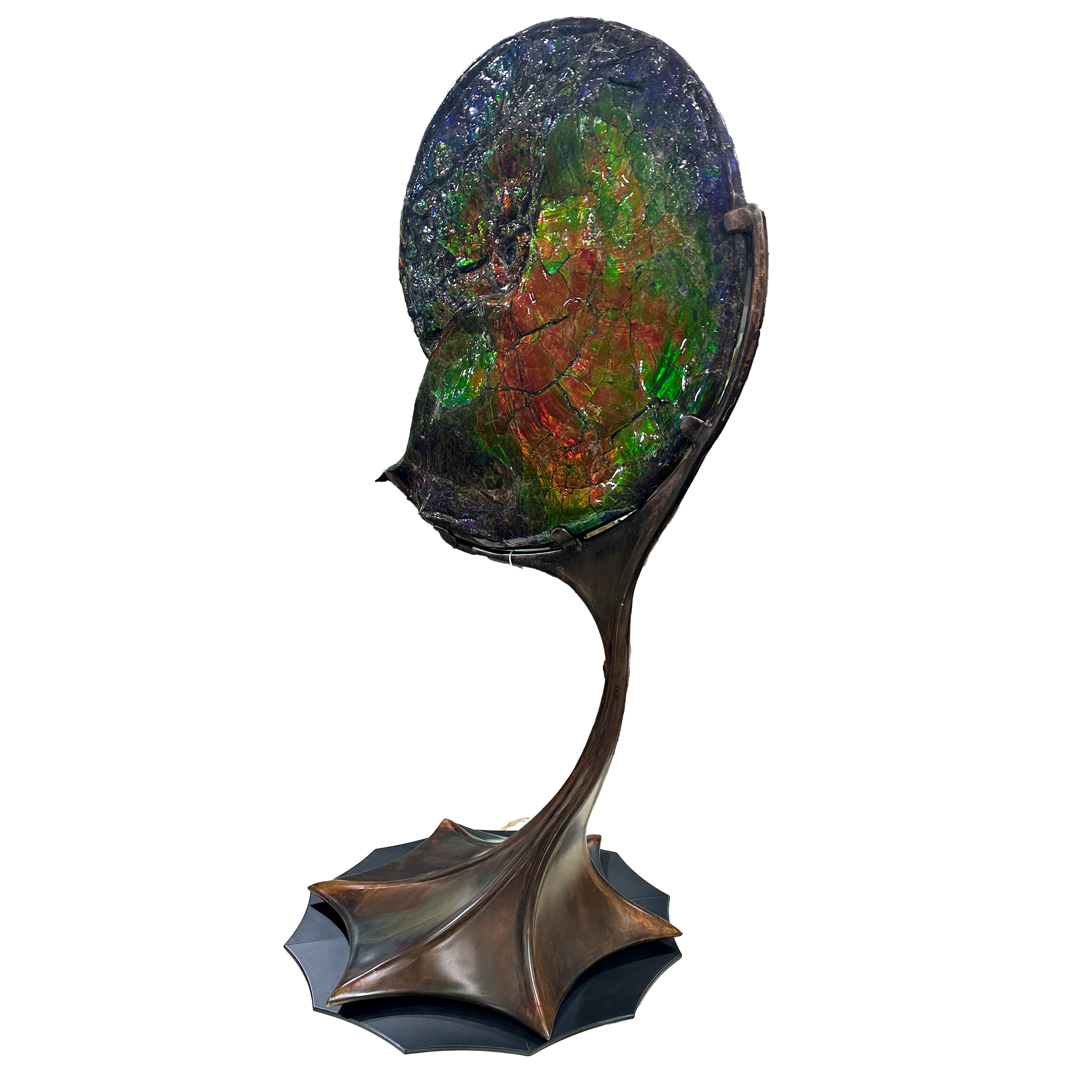 A+ Ammonlite Fossil in Custom Rotating Stand - Whole with Vibrant Colors in Theatrical Design Stand with Patina Finish