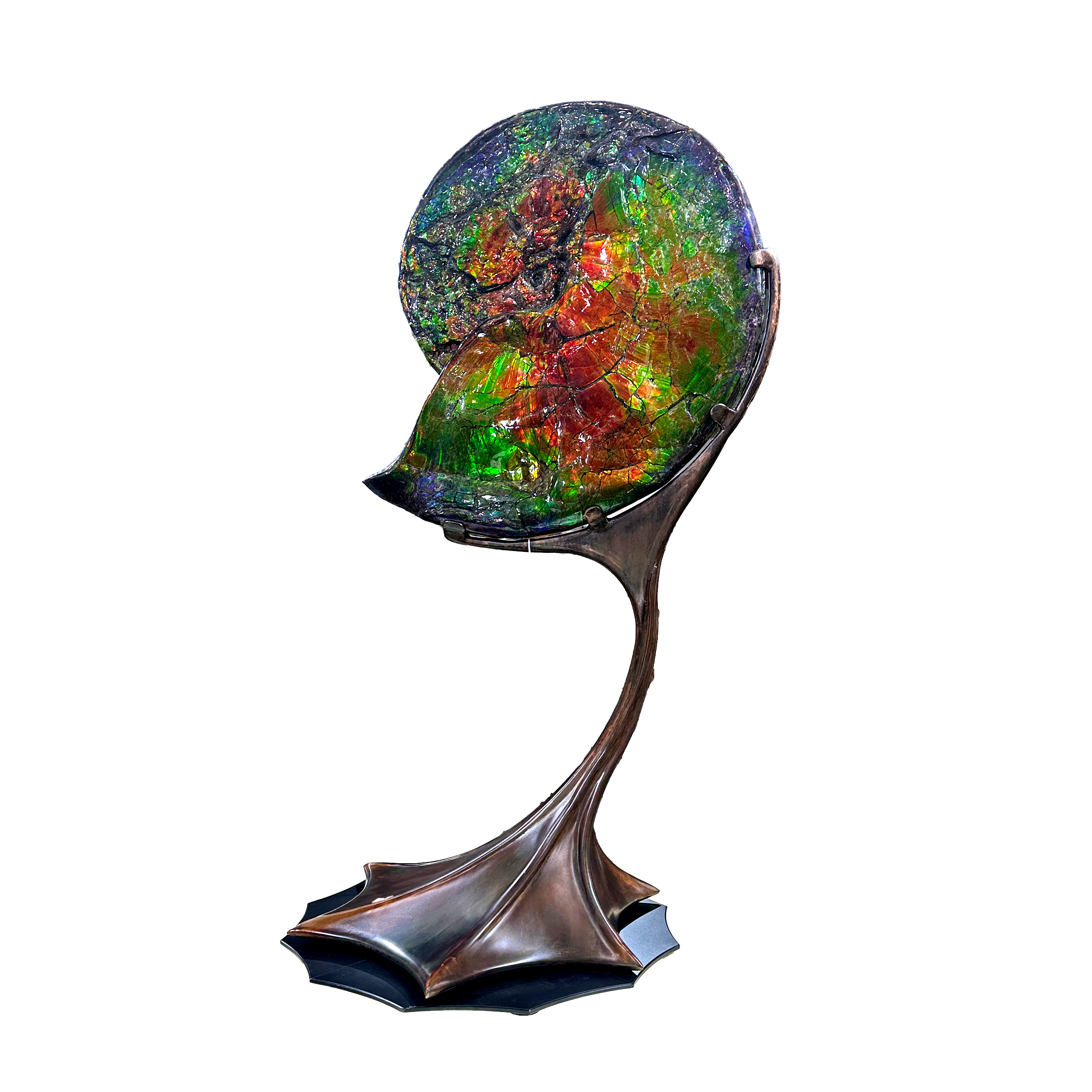A+ Ammonlite Fossil in Custom Rotating Stand - Whole with Vibrant Colors in Theatrical Design Stand with Patina Finish