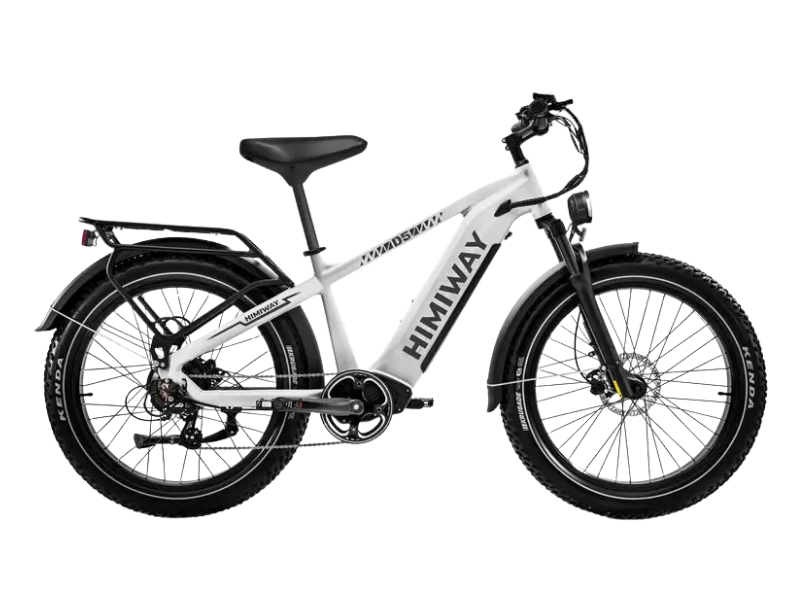 D5(Zebra) / All-terrain Electric Fat Bike