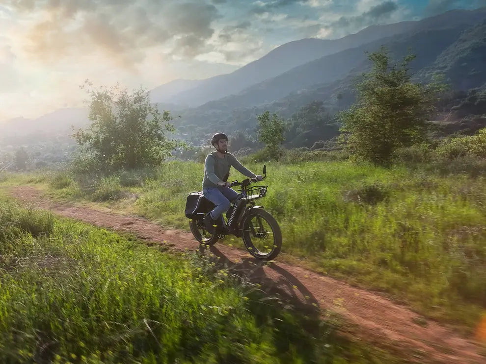 D5(Zebra) / All-terrain Electric Fat Bike