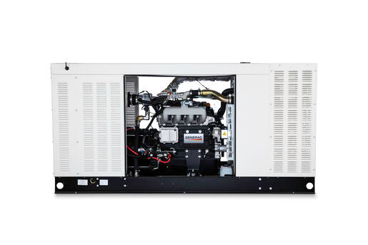 RG06045JNAX - Protector Gaseous 60kW 4.5L 120/240 3P Liquid-Cooled Generator | No Catalyst | 1800 RPM