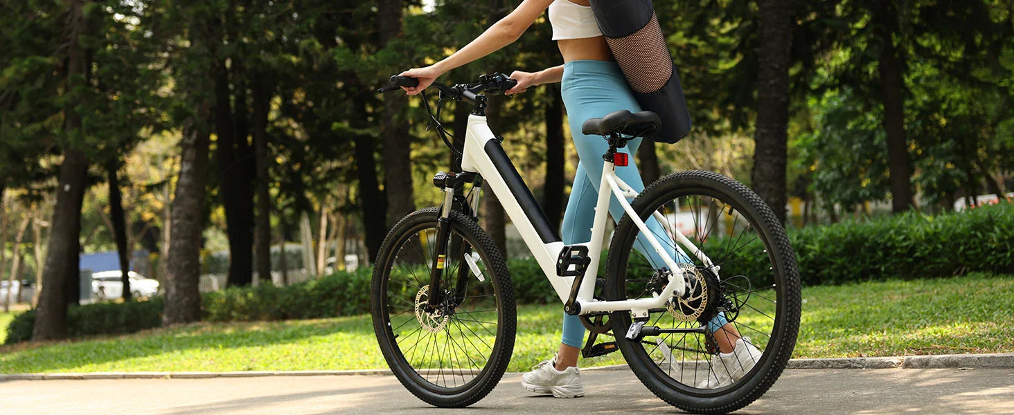 eBike Boys 750W Electric Bike - Step-Through Frame, 36V Battery