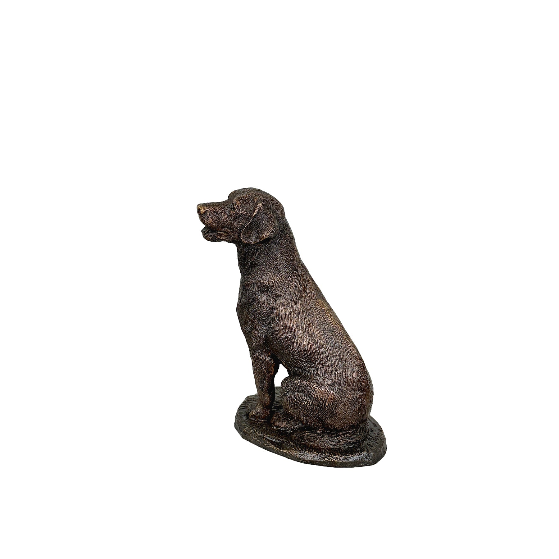 Labrador Retriever Bronze Sculpture