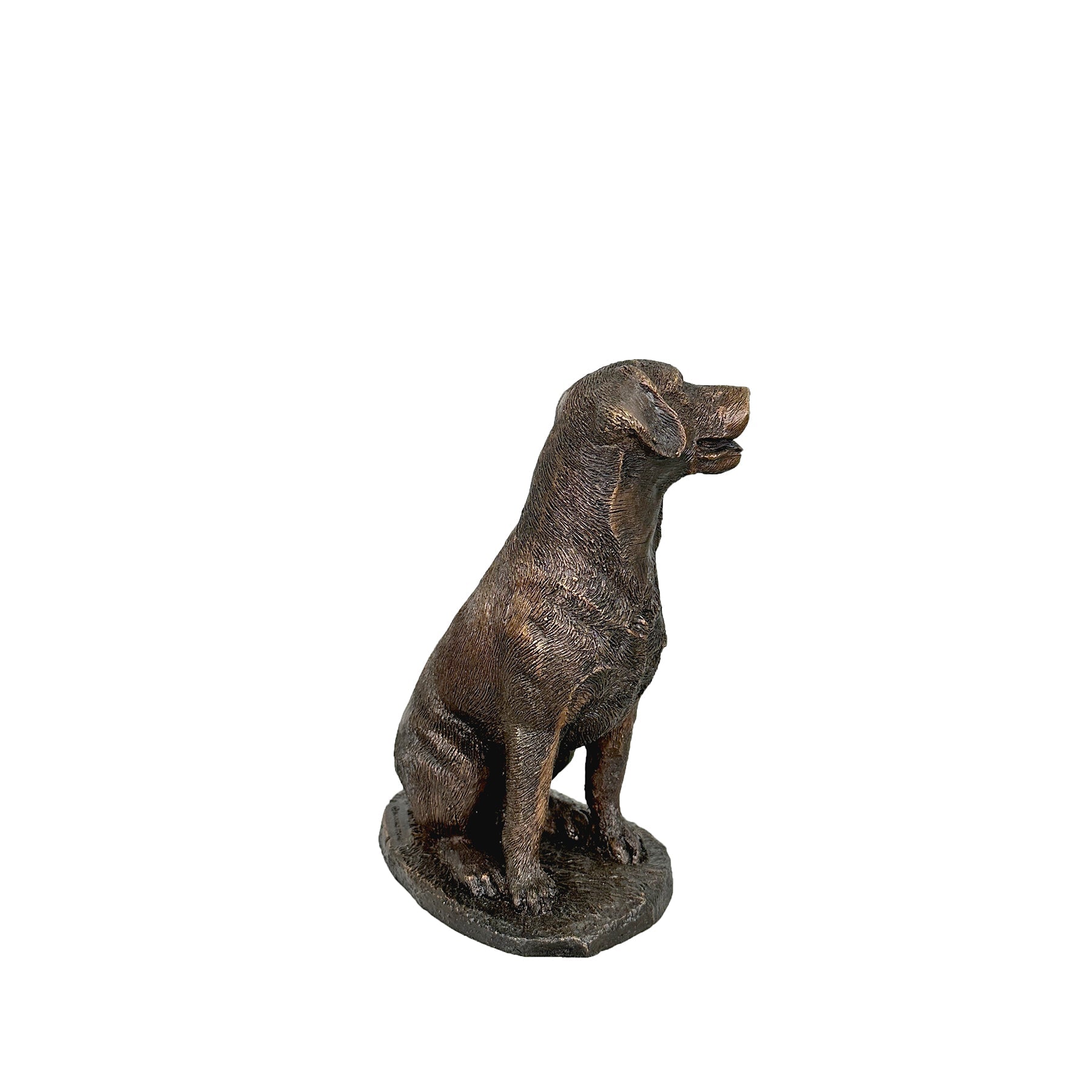 Labrador Retriever Bronze Sculpture