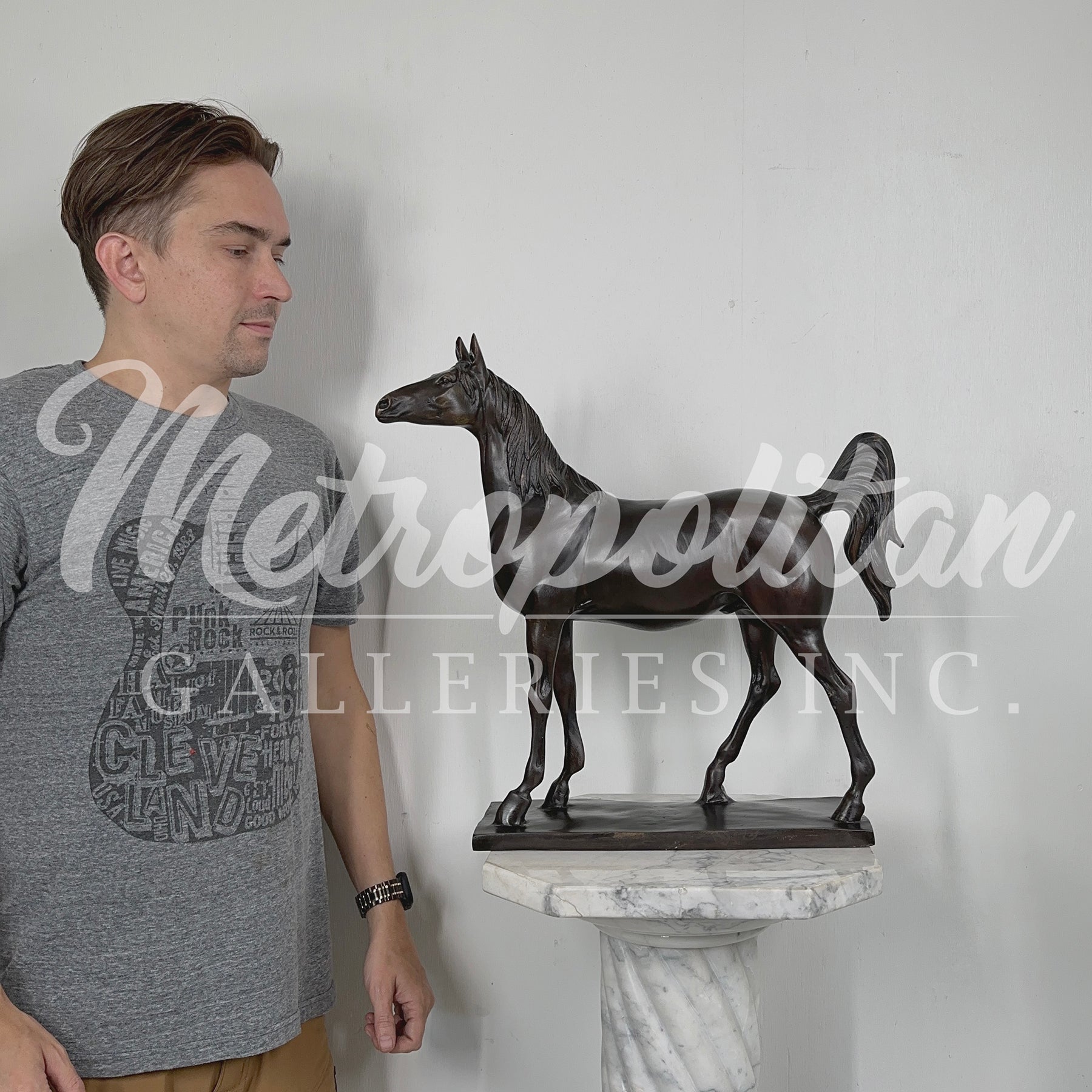 Standing Horse on Base Bronze Statue