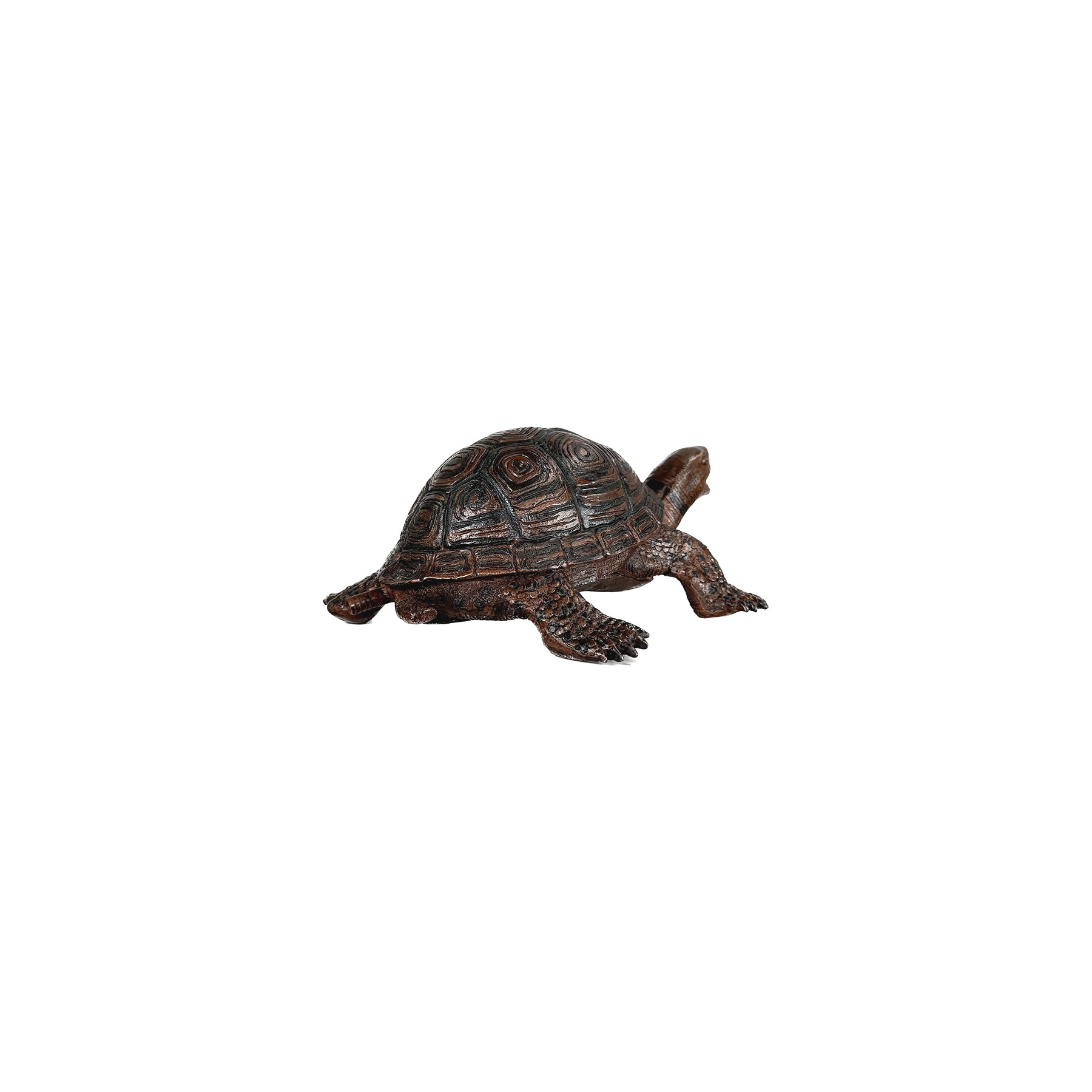 Box Turtle Fountain Bronze Statue