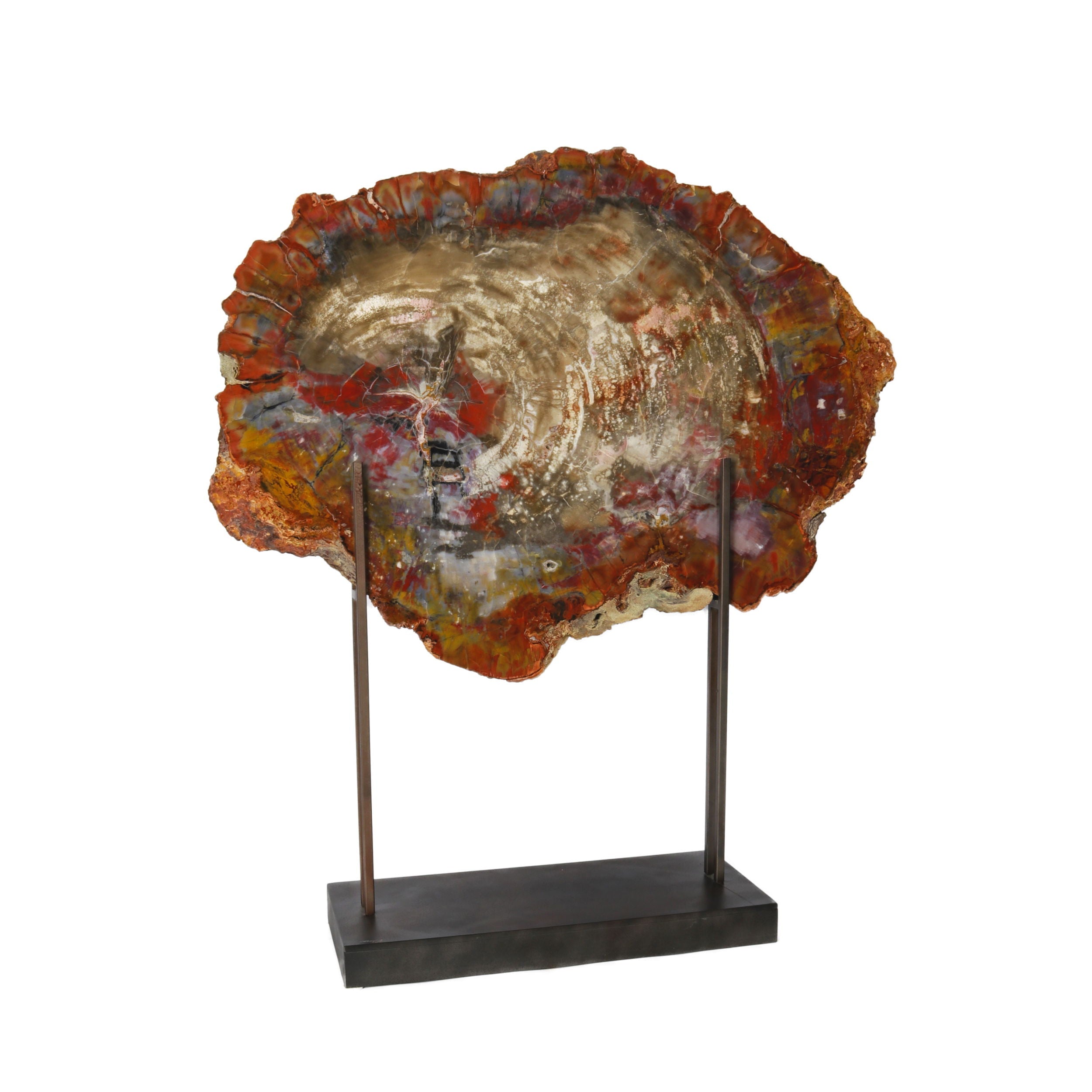 Arizona Petrified Wood Slice on Custom High-H Stand with Patina Finish