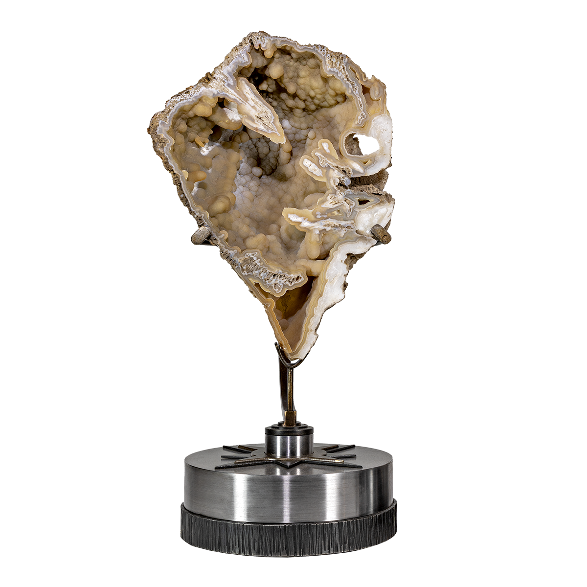 Agatized Fossilized Coral Head Half in Custom Starburst Stand