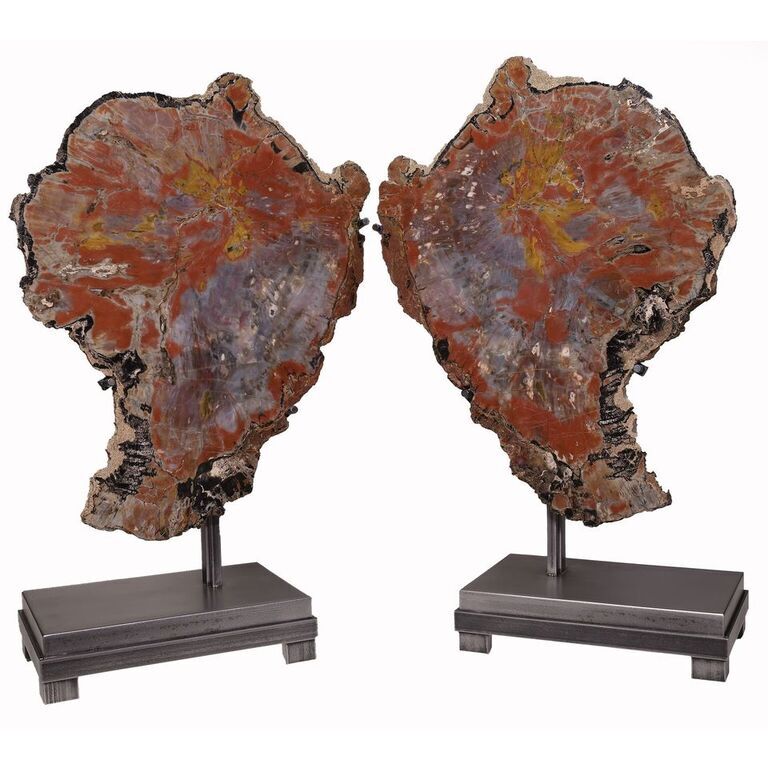 Arizona Petrified Wood Wing Pair on Separate Custom Stands with Patina Finish