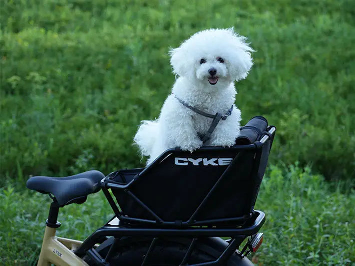 CYKE Rear Rack Basket