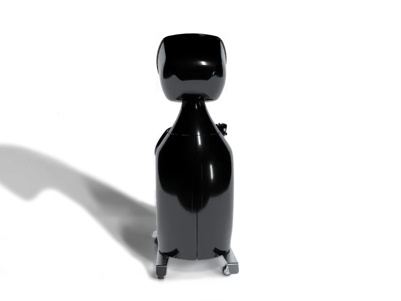 Iceberg25L local CRYO